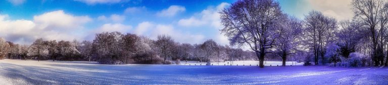 Hasenheide Winter Panorama 2