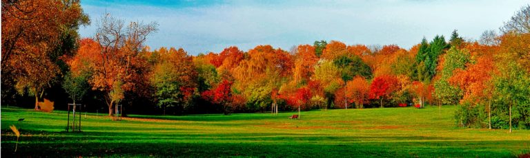 Hasenheide_Panorama12