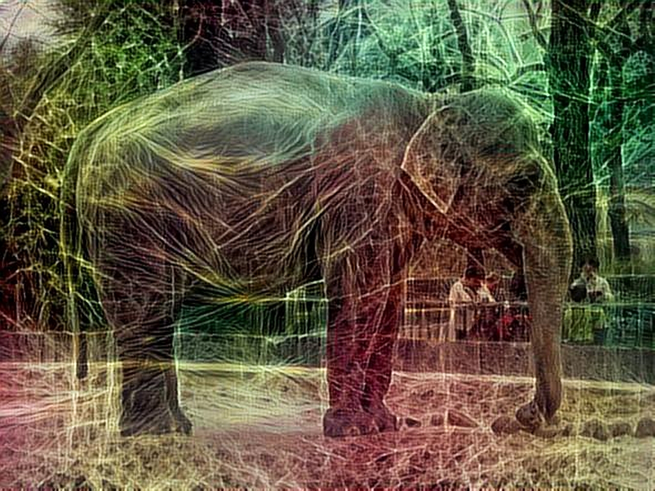 dreamscope Elefant Zoo Berlin